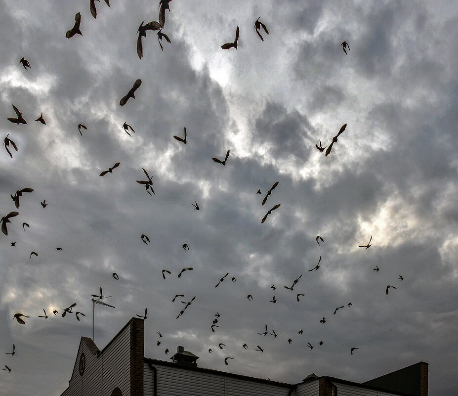 И сразу как-то тревожно - Alexandеr P