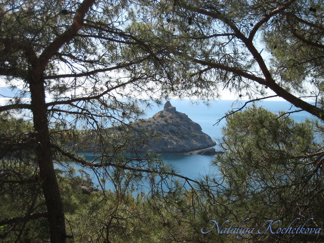 Природа Крыма - Amazing Cosmea