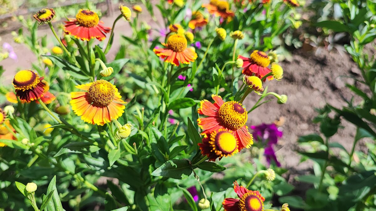 ,,, - Сергей Тимоновский