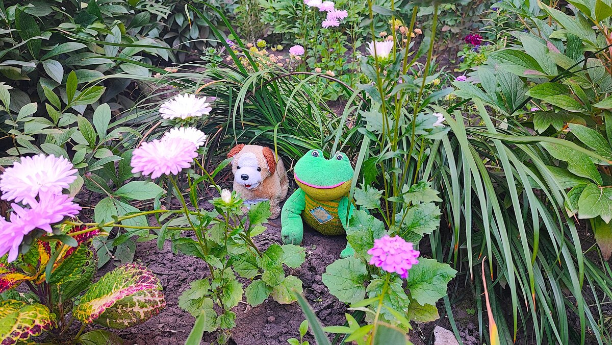 ,,, - Сергей Тимоновский