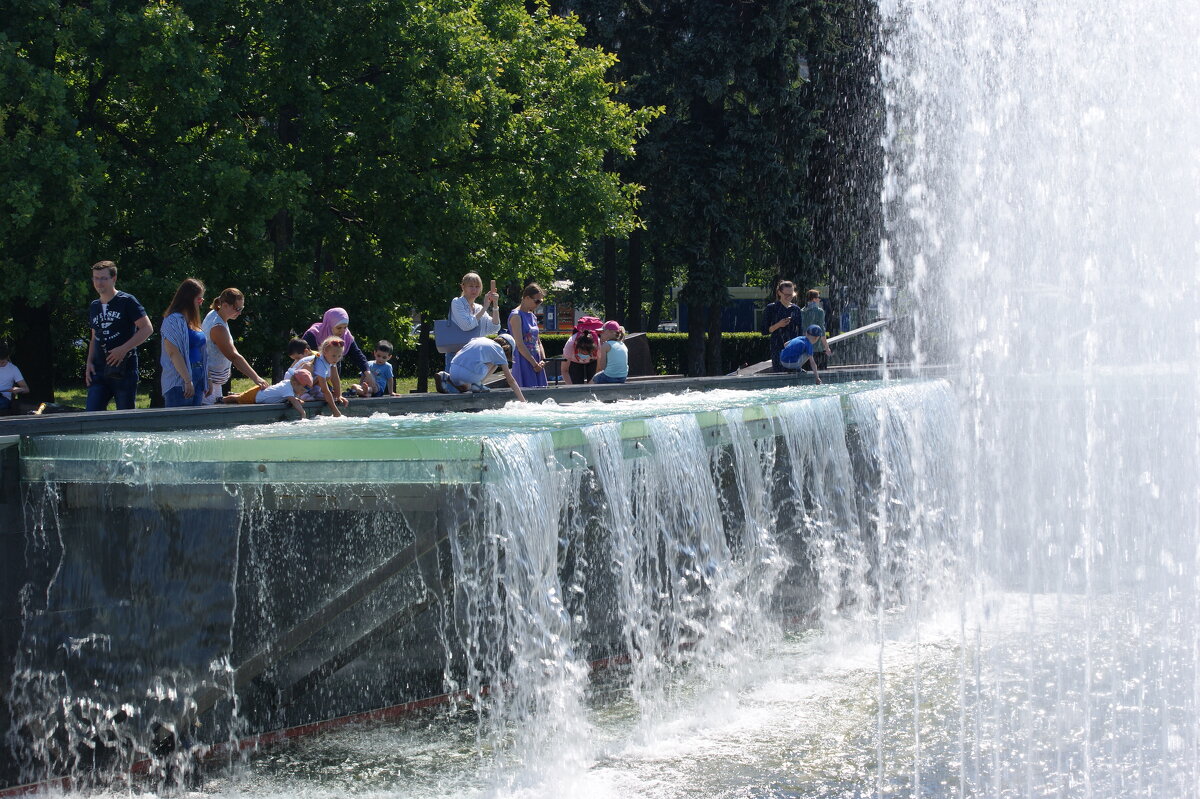 ПРОВОДУ - Виктор Никитенко