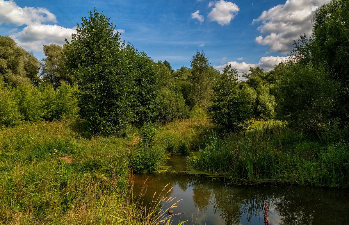 Середина Августа 3 - Андрей Дворников