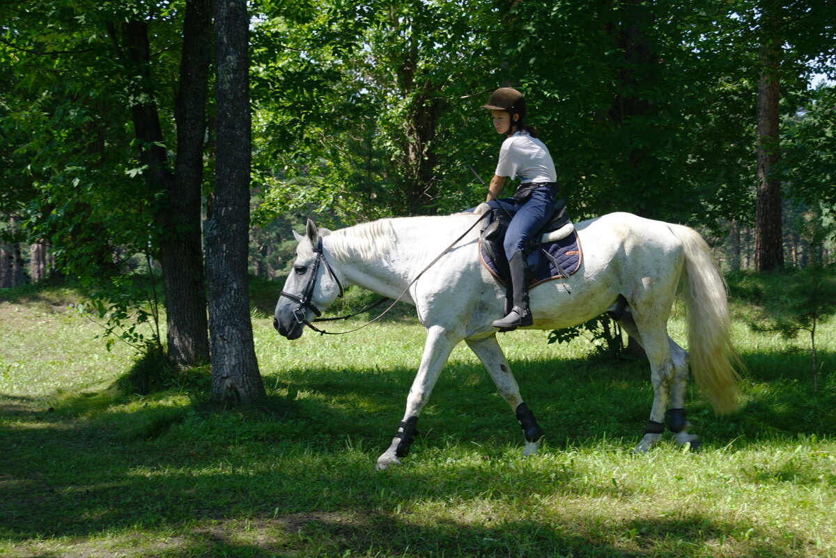 Лесная прогулка - Наталия Григорьева Лесная прогулка - Наталия Григорьева