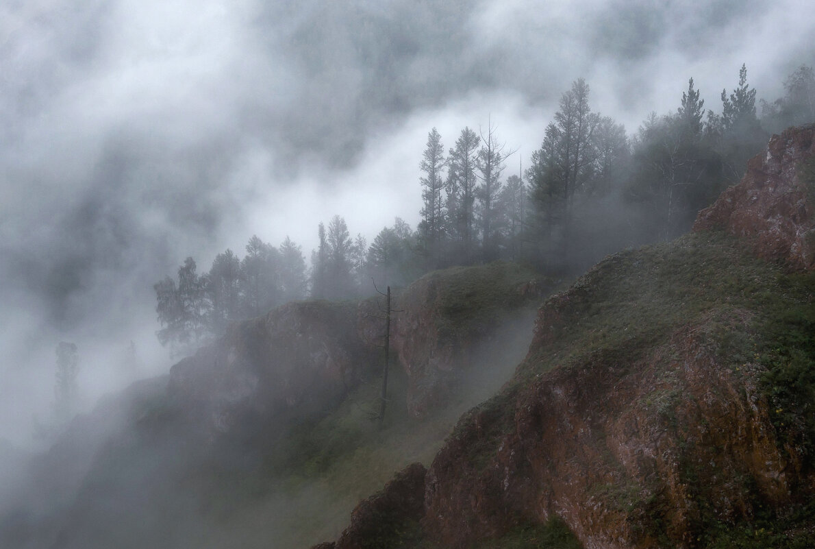 Туман торгашинского хребта - Марина Фомина.