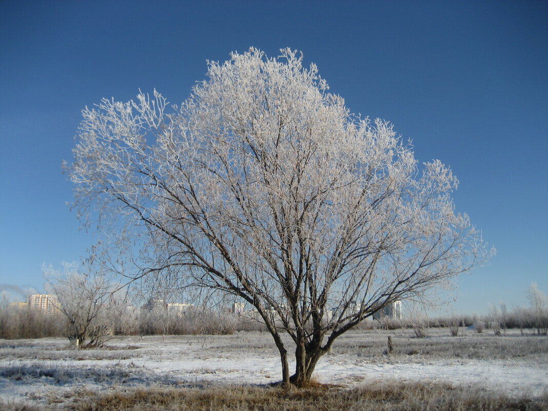 Утро - Anna Ivanova