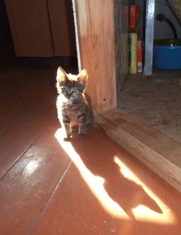 Солнечный островок :) - Наталья 