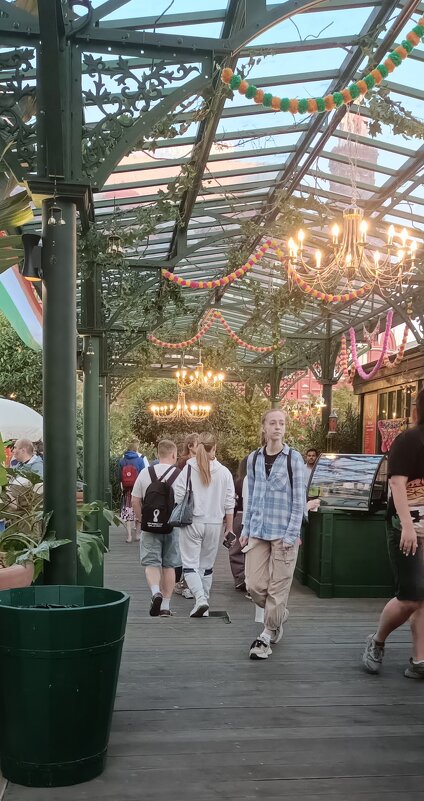 индийский фестиваль на Манежной - Галина R...