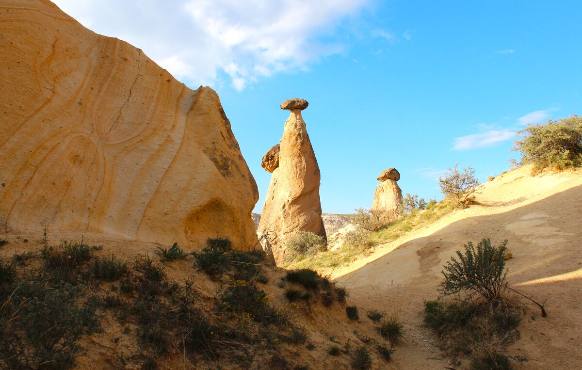 Причудливые горные фигуры - Сергей Никифоров