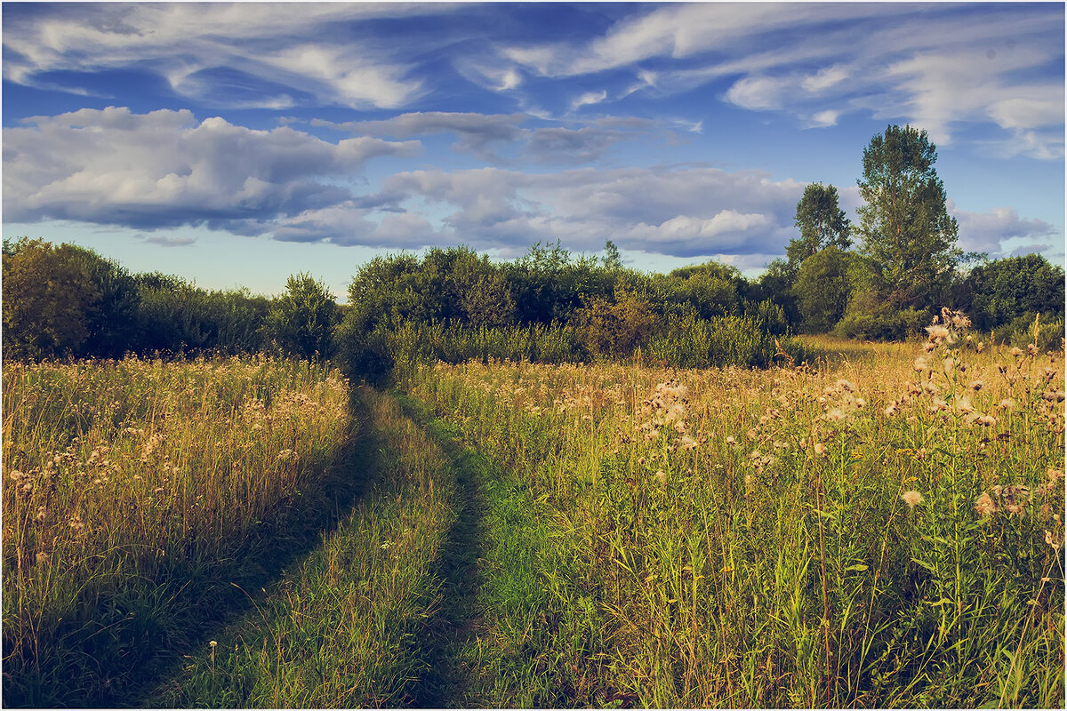 Август - Валентин Котляров