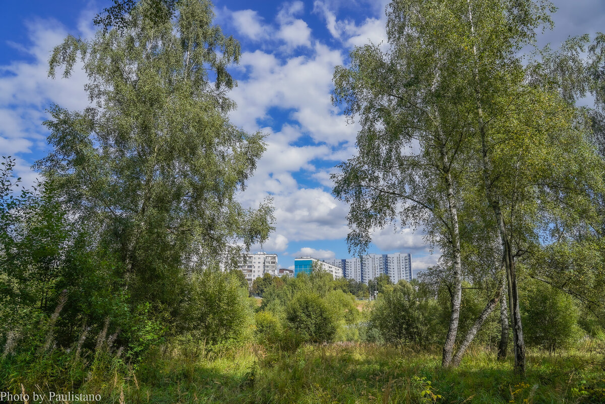 Палитра августа... - Владимир Жданов Палитра августа... - Владимир Жданов