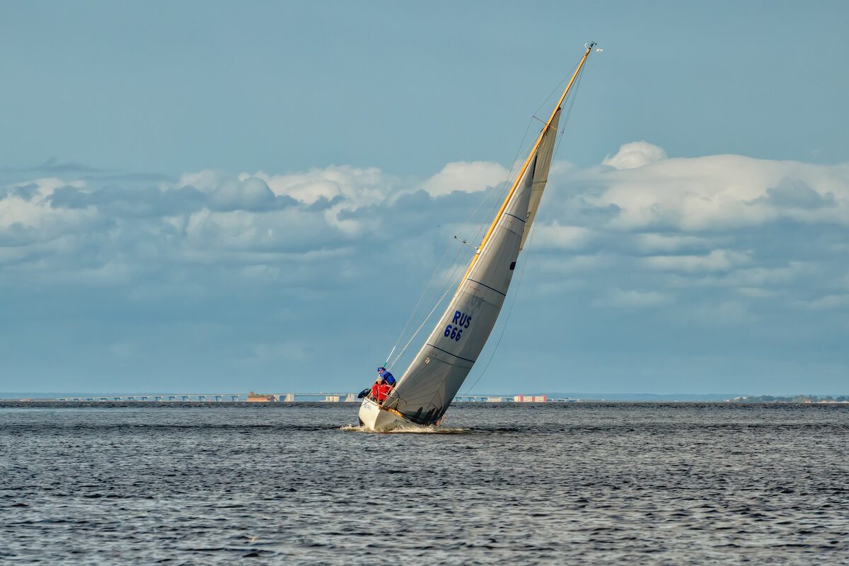 Про Питер - Владимир Колесников