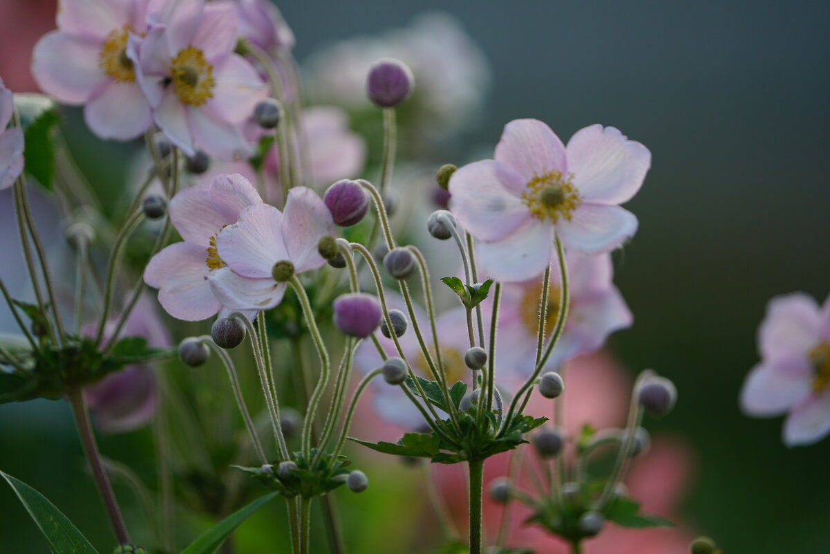 Summertime - Иван Литвинов Summertime - Иван Литвинов