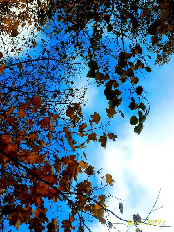 Осеннее небо - Натали 