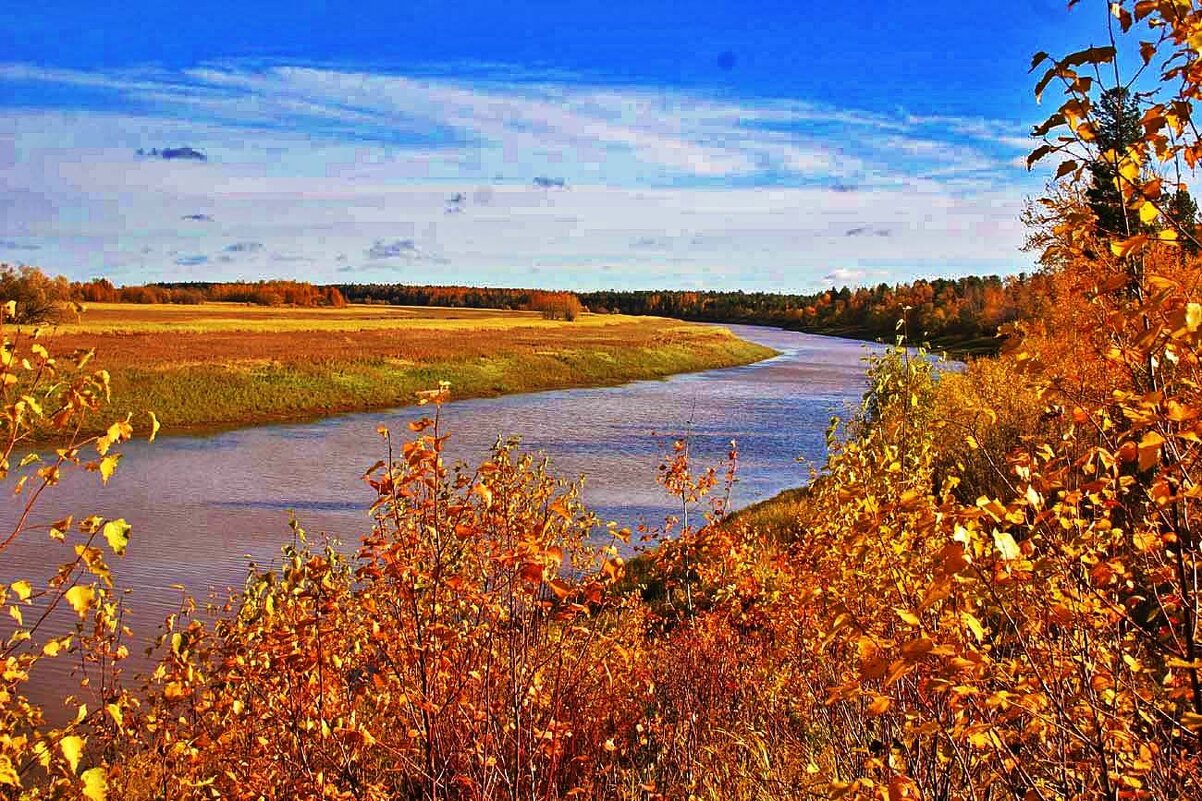 Осень позолотила берега протоки Девкина! - Владимир 