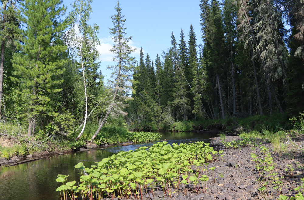 Река Хултынья - Галина Ильясова