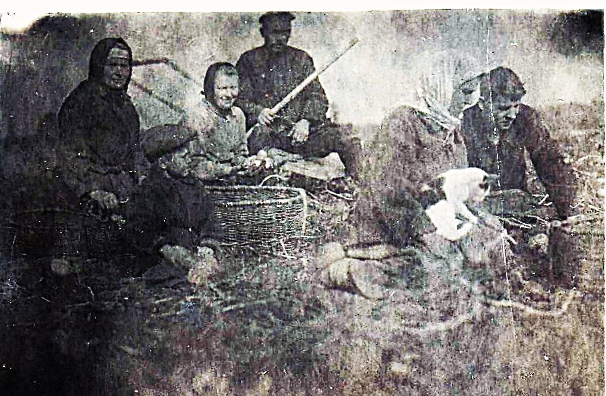 С Всемирным днём фотографии ! - Анатолий Колосов