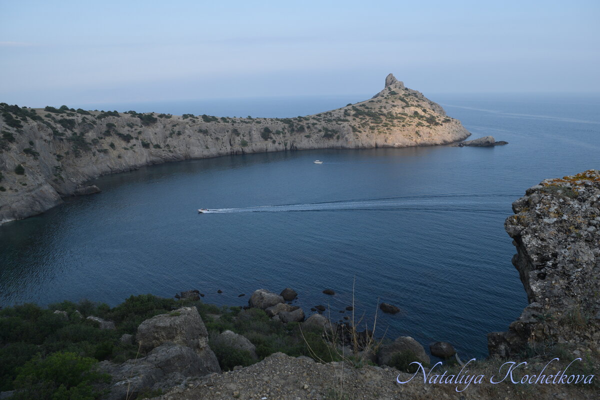 Природа Крыма - Amazing Cosmea