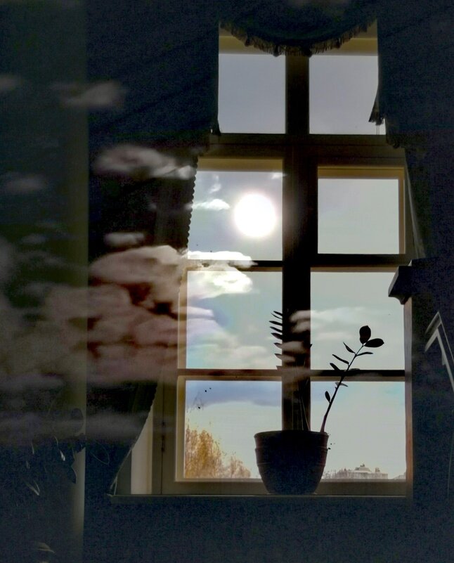 Двойная экспозиция - Любимова Ольга 