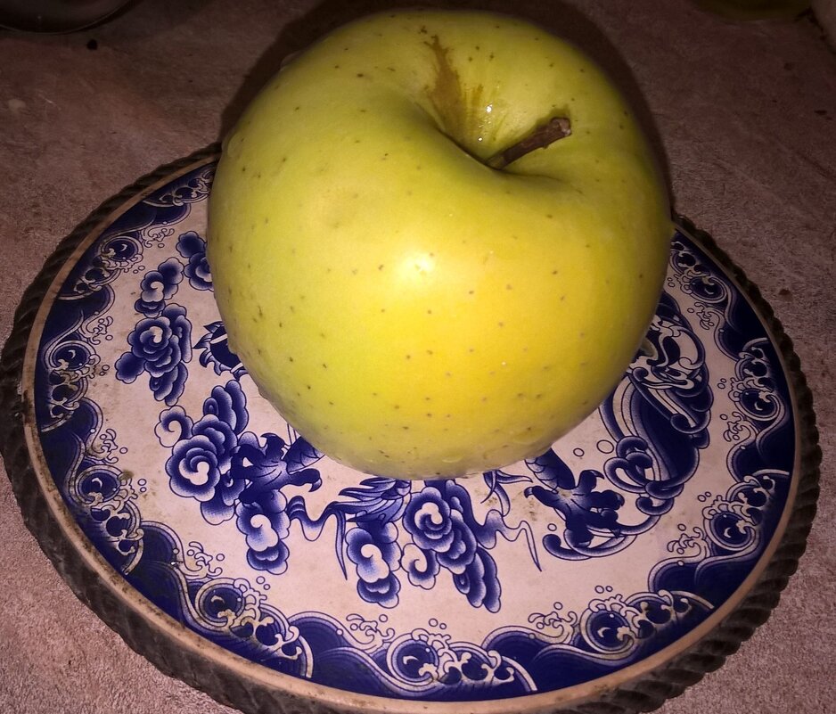 СЮРПРИЗ - Елена Семигина СЮРПРИЗ - Елена Семигина