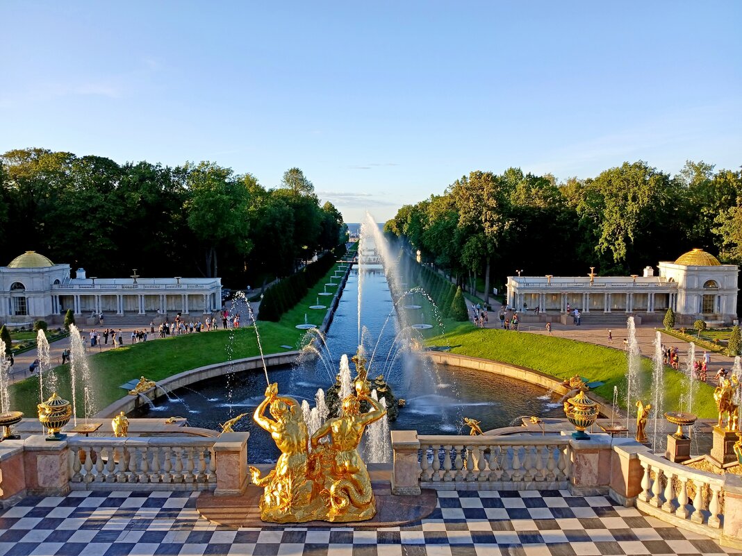 Друзья, со Всемирным Днём фотографии! - Лия ☼