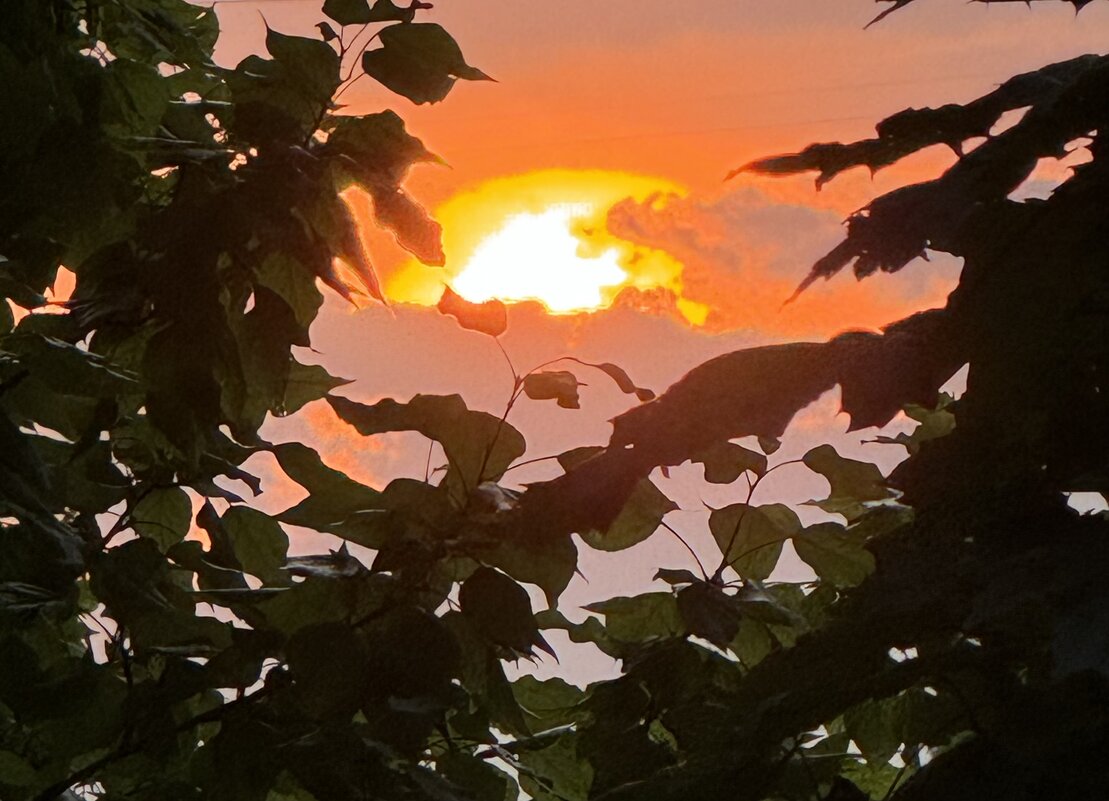 Закат - Анна Камс