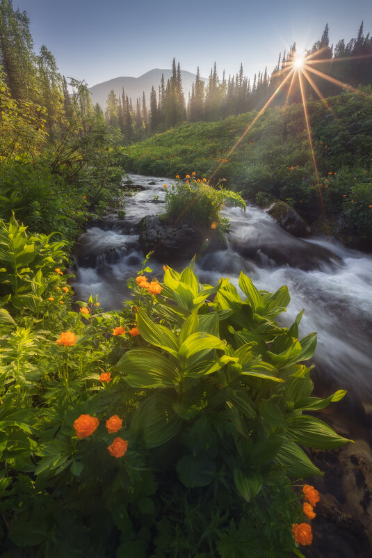Рассвет у ручья Чистайга - Максим Токарев