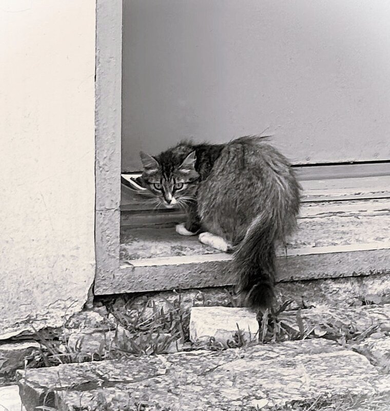 Не мешайте обедать - Мария - Maria