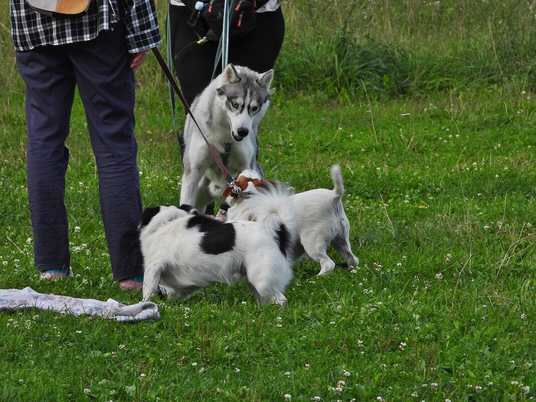 *** - Леонид leo