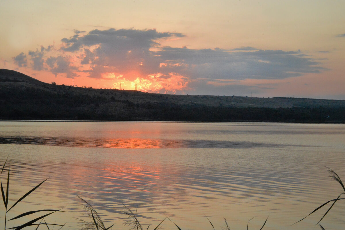 *** - Надежда Куркина 