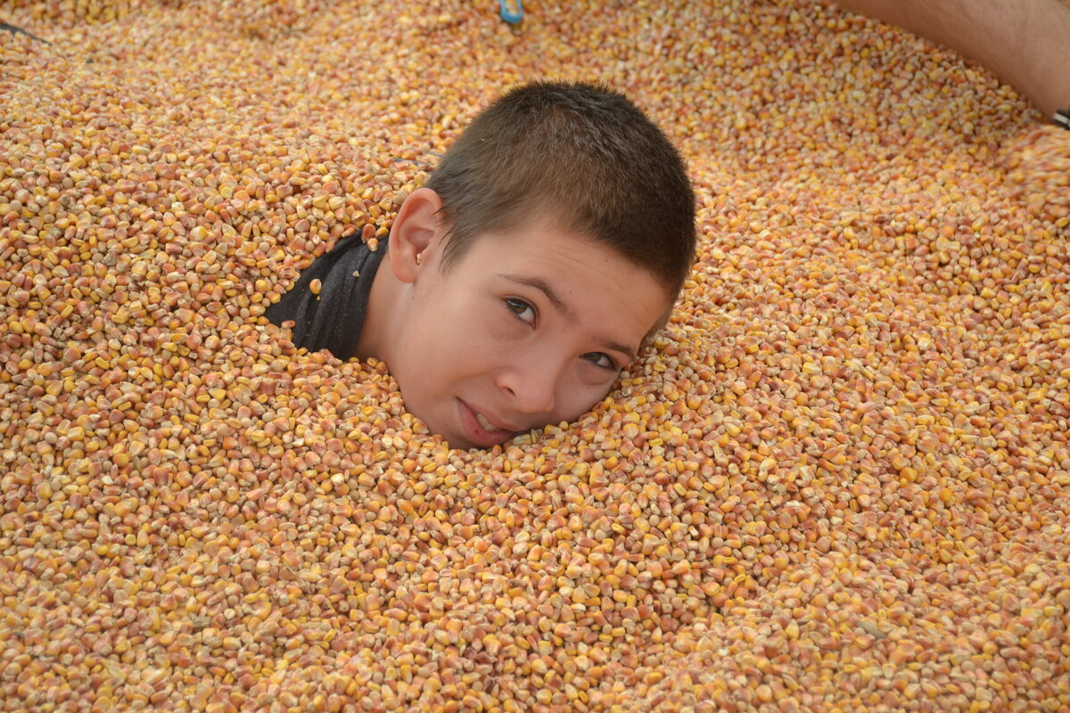 В кукурузной песочнице - Сергей 