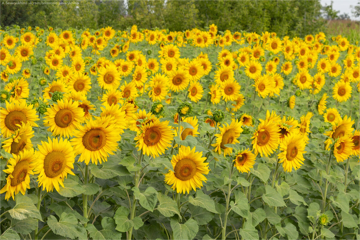 Первый день отпуска - Анастасия Северюхина