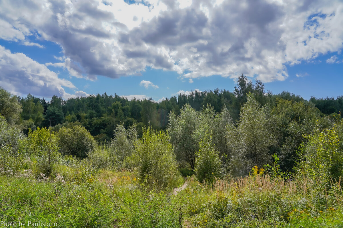 Под небом августа... - Владимир Жданов
