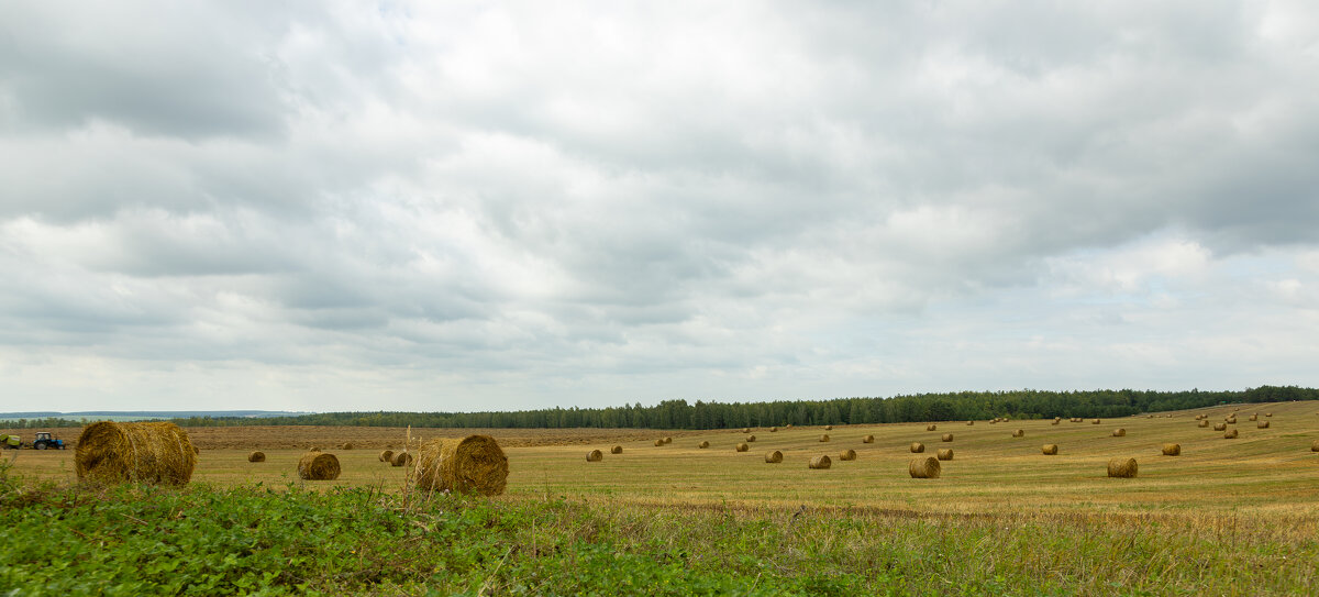 Хлеб - всему голова. - Yuri Chudnovetz