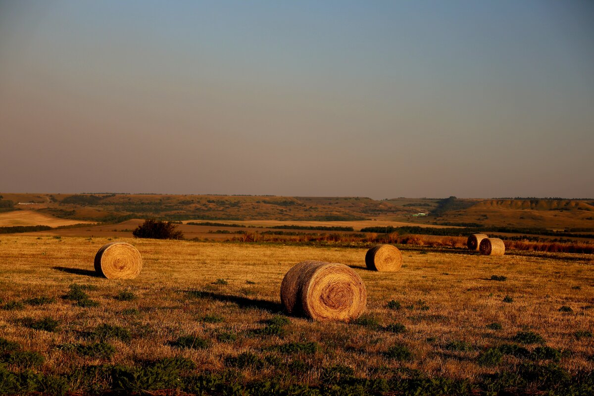 Поля.... - Evgeny Mameev