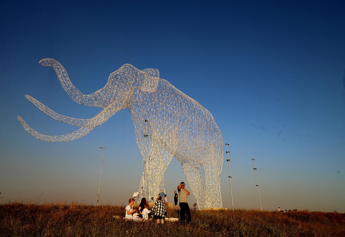 Слон... - Evgeny Mameev