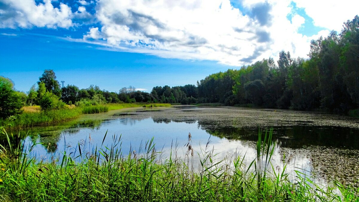Про озёра Смоленщины. - Милешкин Владимир Алексеевич 