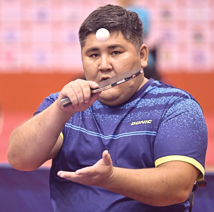 Теннисист... - Георгиевич 