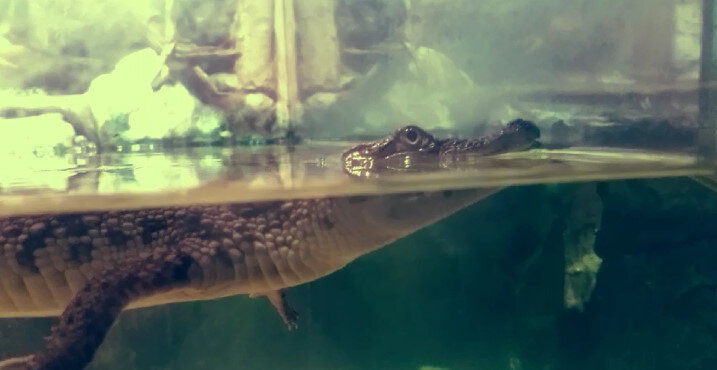 112 (219) - СТРЕН 