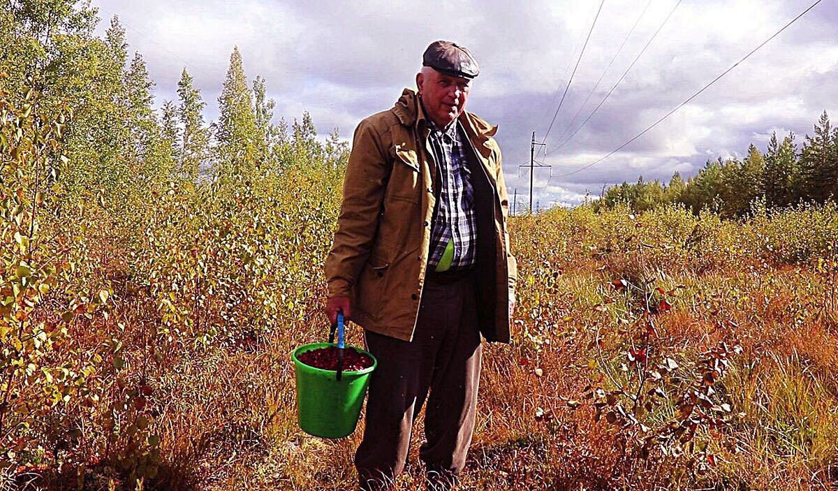 Сентябрь..С дарами природы! - Владимир 