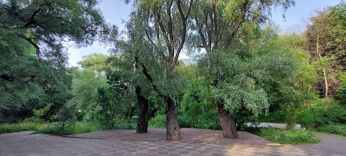 В парке Отрадное - ИРЭН@ .