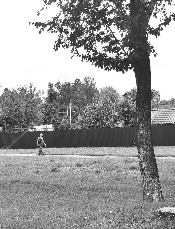 Случайный кадр. Черно-белая фотография. - Любимова Ольга 