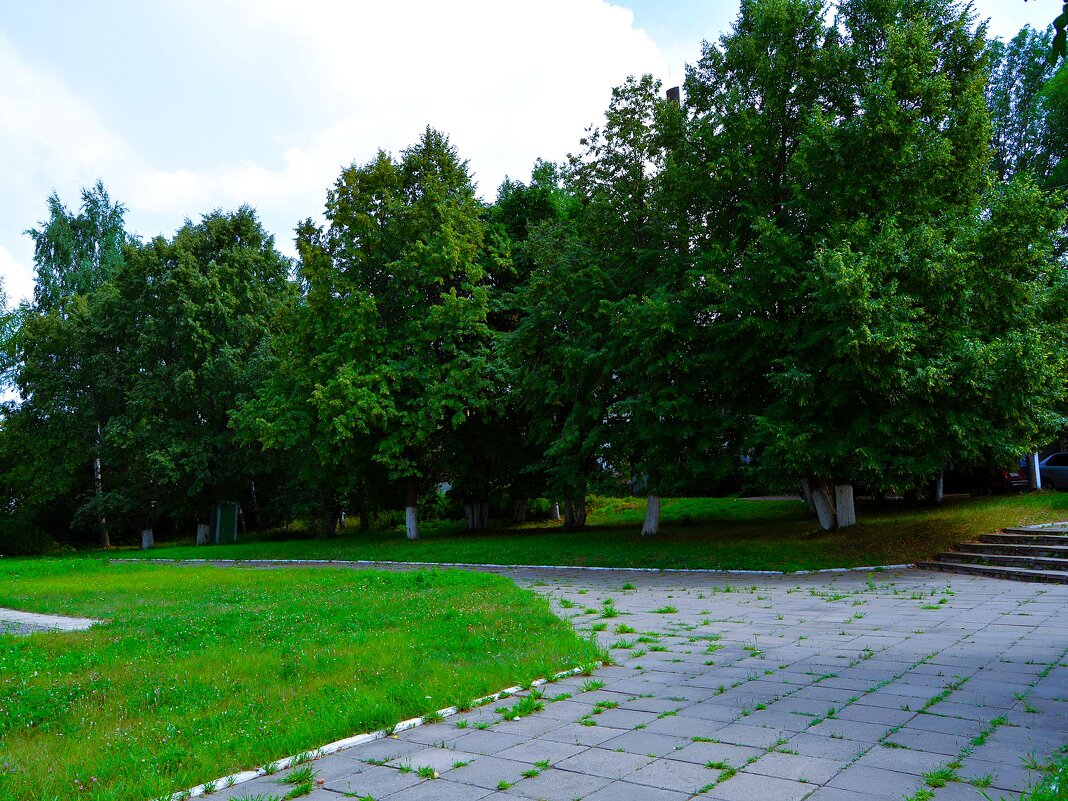 Алатырь. Липы на площади Октябрьской Революции. - Пётр Чернега