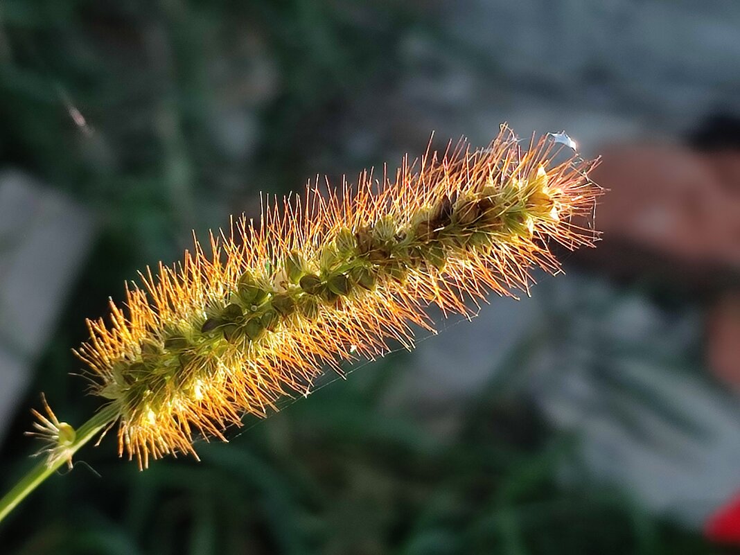 Просто понравилась - Валентина Богатко 