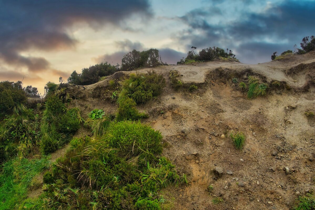 Magic Azores 82 - Arturs Ancans