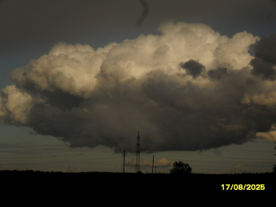 Облако - fogmeadowww m Облако - fogmeadowww m