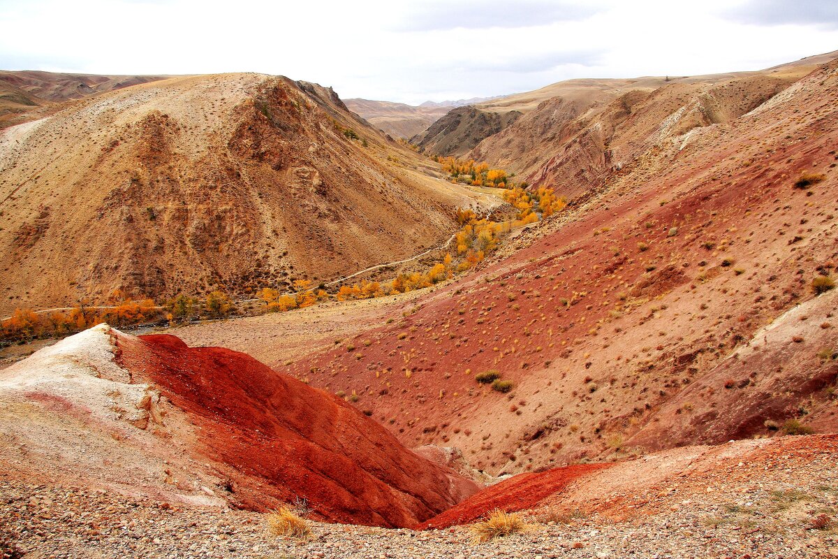 НА КРАСНОЙ ПЛАНЕТЕ - Елена Даньшина