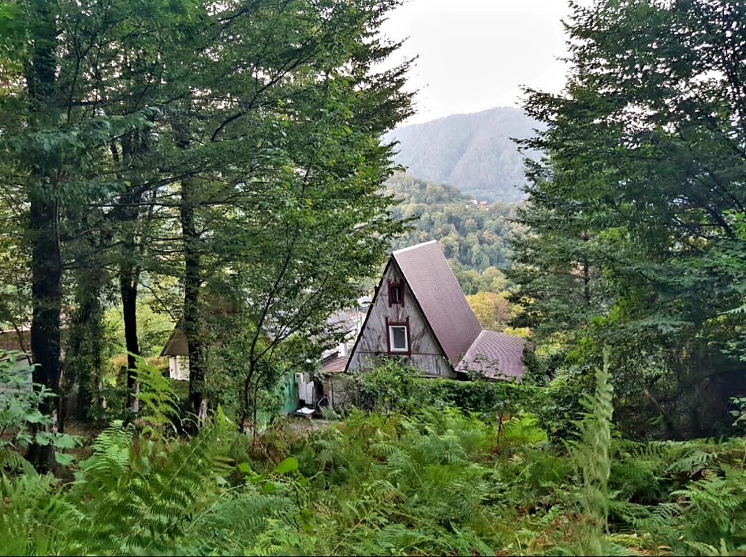 ПЛАСТУНКА СОЧИ - Tata Wolf