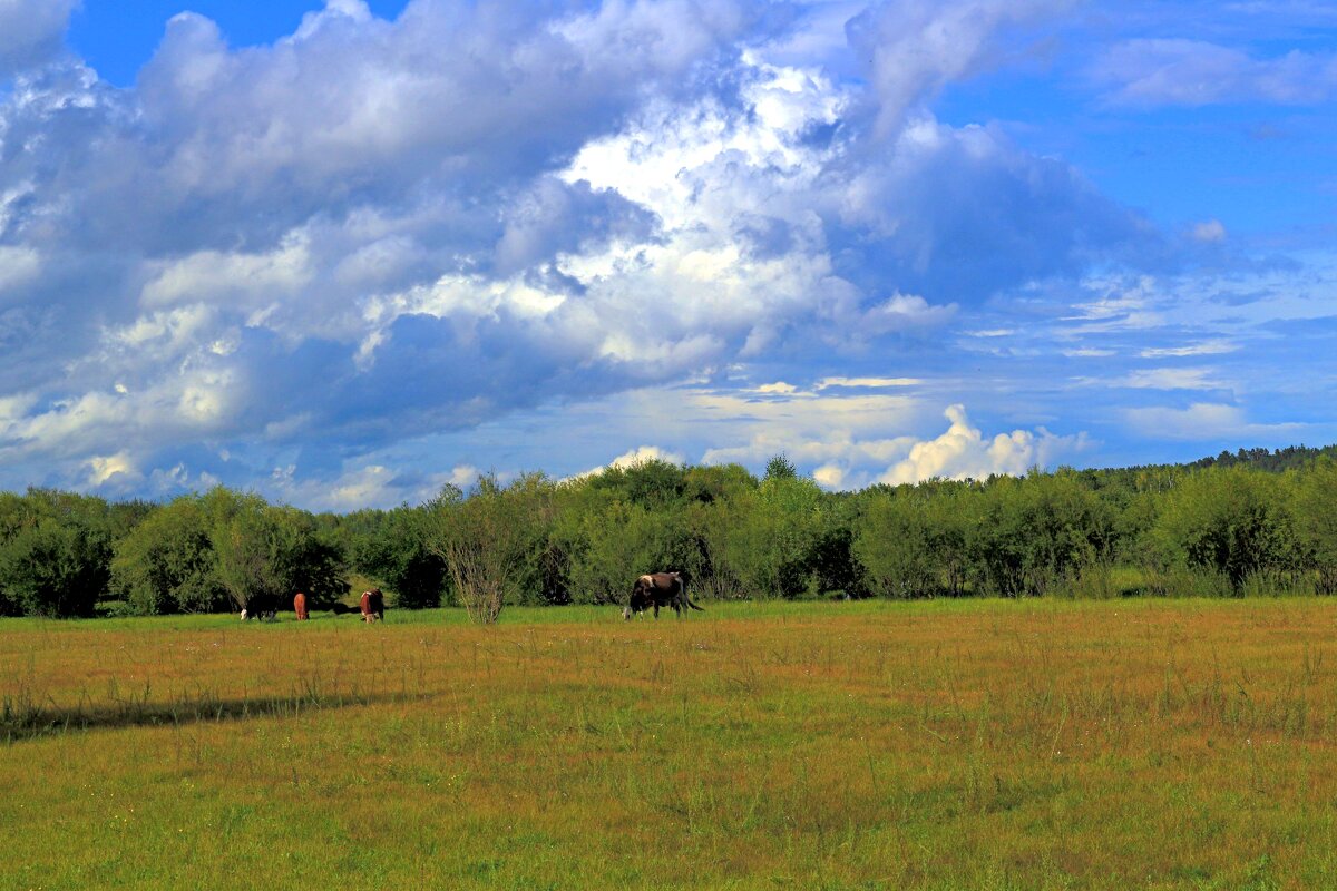 Небо августа - Мишель71 
