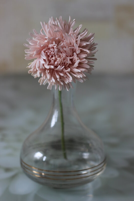 Астра - Алёна Писарева Астра - Алёна Писарева