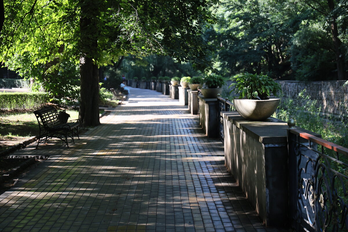 Кисловодск. Парк - Evgeny Mameev